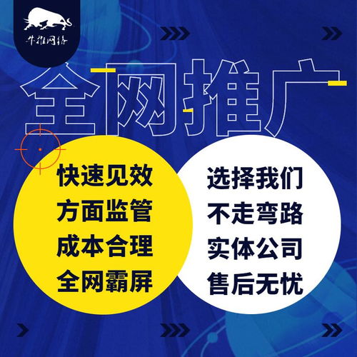 精誠(chéng)所至，金石為開(kāi) 上海牛推信息推廣公司網(wǎng)絡(luò)技術(shù)開(kāi)發(fā)之路